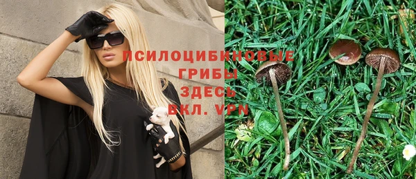 прущий лед Алексеевка